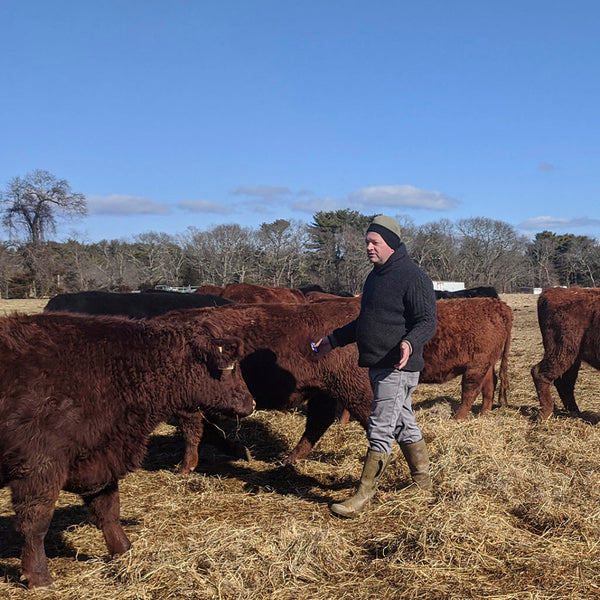 Talking Regenerative Grazing with Acabonac Farm’s Stephen Skrenta