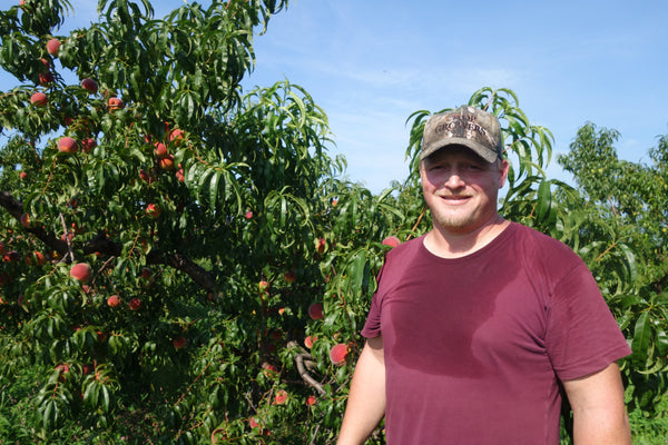 Wilklow Orchards