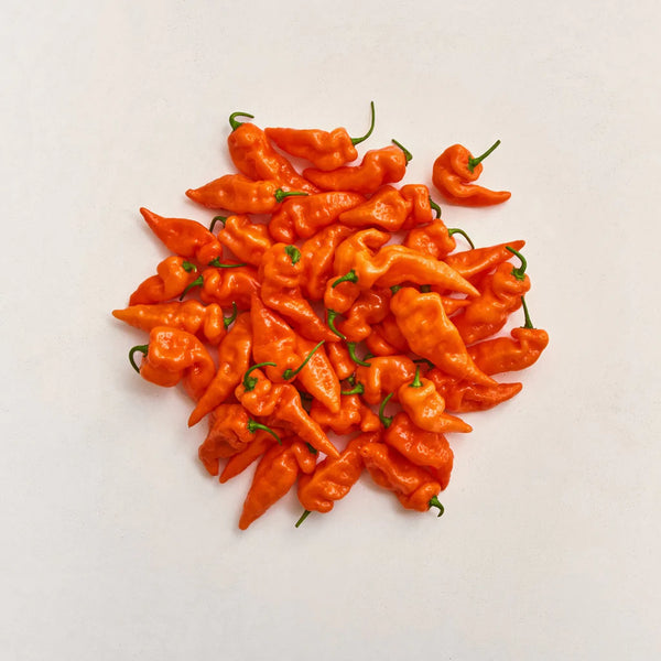 Produce Spotlight: Habanada Peppers