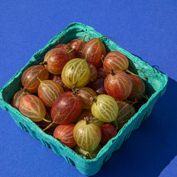 Produce Spotlight: Gooseberries