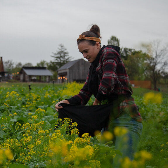 Farming in the Era of Climate Change: An Interview with Lauren Nagy of Ironbound Farm