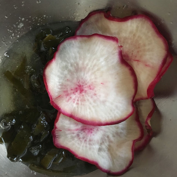 Senmaizuke, Japanese “Thousand Slices” Turnip Pickle