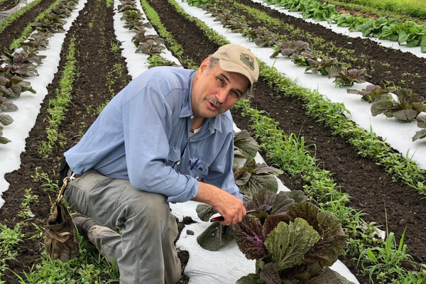 Fresh Meadow Farm