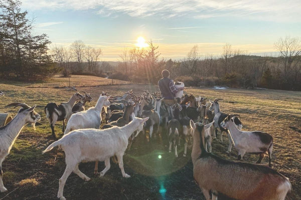 Moxie Ridge Farm