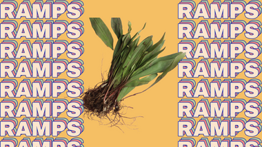 Ramps